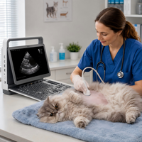 Sistema de Ultrasonido Veterinario de Diagnóstico XY M70VET con Imágenes Doppler a Color, Asistencia para Punciones y Funciones de Reporte