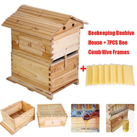 Ruche à flux automatique efficace, facile à collecter le miel, villa d'abeille entièrement équipée