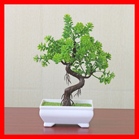 Plantes artificielles miniatures en pot, pots de fleurs artificielles pour bureau, café, petites décorations, accessoires de photographie, fausses plantes vertes, bonsaïs
