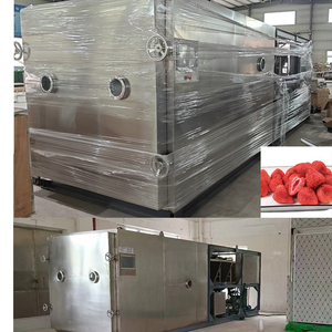 200kg Large Lyophilizer for Mushroom Herbs Plant Extract Preservation - Product Image 5