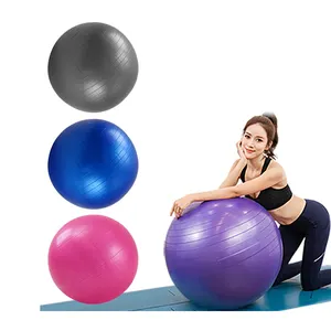 防爆裂聚氯乙烯健身球定制标志健身健身房普拉提健身孕妇稳定平衡球普拉提瑜伽球