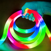 Tube néon en silicone noir D22 360 degrés, bande flexible intelligente RGBIC adressable, 24V, IP67, étanche, décoration d'hôtel