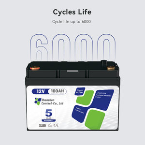 12V 24V Lifepo4-batterij 100ah 200ah 300ah Lithiumbatterij Koude Ketting Logistiek Temperatuurregeling Olie Boorplatform Back-Up Vermogen - Product Image 5