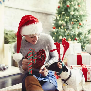 Juguetes Masticables Navideños Interactivos de Cuerda de Algodón Duraderos con Diseño Ecológico y Estilo de Dibujos Animados para Perros - Uso en Interiores - Product Image 6