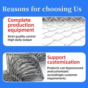 Malla de Alambre de Hierro Recubierta de PVC de 6 Pies, Galvanizada por Inmersión en Caliente, <span class=keywords><strong>para</strong></span> Cercas de Campos Deportivos, Venta al Por Mayor - Product Image 5
