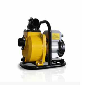 Bomba de Agua Solar de Superficie de 750W 48V de 2 Pulgadas, Eficiente Energéticamente, Riego Automático para Agricultura, Granjas y Jardines - Product Image 1