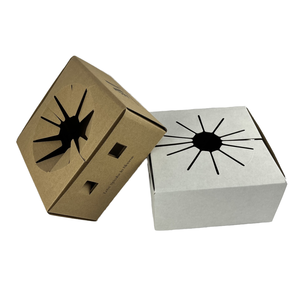 Boîte de fleuriste en carton personnalisée écologique pour la livraison-boîtes à vase, boîtes postales personnalisées <span class=keywords><strong>Service</strong></span> personnalisé professionnel - Product Image 3