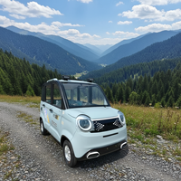 Sedán Compacto de Nueva Energía, Eléctrico, de Cuatro Ruedas, con Autonomía de 201-300 km y Motor de 1-3 kW, para Uso Doméstico por Adultos