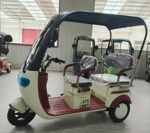 Triciclo Eléctrico de 48v 60v con Carrocería Abierta, Tres Asientos Ajustables para Uso Doméstico, Vehículo Pequeño de Pedales para Dos Personas - Product Image 2