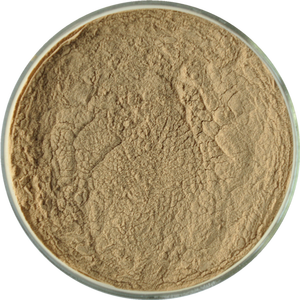 Completamente solúvel em água de alta pureza Jerusalem alcachofra Powder Jerusalem alcachofra extrato Powder Large Supply - Product Image 5
