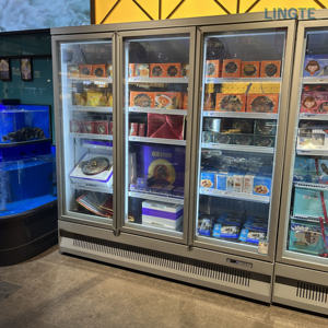 Congélateur <span class=keywords><strong>de</strong></span> cuisine à prix direct usine, vitrine réfrigérée pour viande, congélateur d'<span class=keywords><strong>abattoir</strong></span>, contrôle numérique <span class=keywords><strong>de</strong></span> la température <span class=keywords><strong>de</strong></span> <span class=keywords><strong>l</strong></span>'air, automatique - Product Image 3