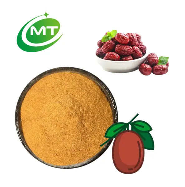 10:1 Dried China jujube Extract/Free Sample Date Powder/jujube powder