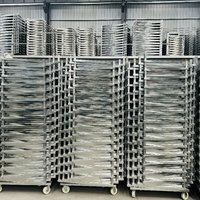Grote industriële commerciële dehydrator voor groenten, fruit, specerijen, kruiden, wortelen, citroenen, appels, perziken, uien en aardappelen
