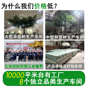 ต้นแปะก๊วยประดิษฐ์ขนาดใหญ่จาก Shenghong Landscape ทำจากไฟเบอร์กลาส เหมาะสำหรับตกแต่งภายนอกโรงแรม สไตล์บอนไซ - Product Image 5