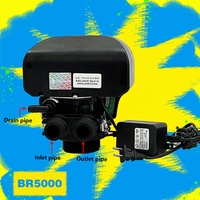 Vanne de contrôle d'eau Pentair, adoucisseur électronique à minuterie, vanne de filtration à minuterie BR-XST