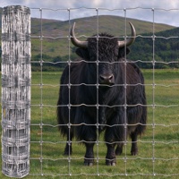 Clôture en treillis galvanisé à mailles carrées à nœuds fixes 3ft 4ft 5ft 6ft pour bétail, ranch, enclos, pâturage, ferme, écurie de chevaux