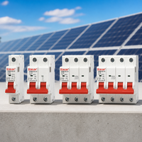 Disjoncteur électrique 1P 2P 3P 4P Mini MCB AC 4.5kA 63A à déclenchement automatique sur rail DIN IP20 CE CB PA66
