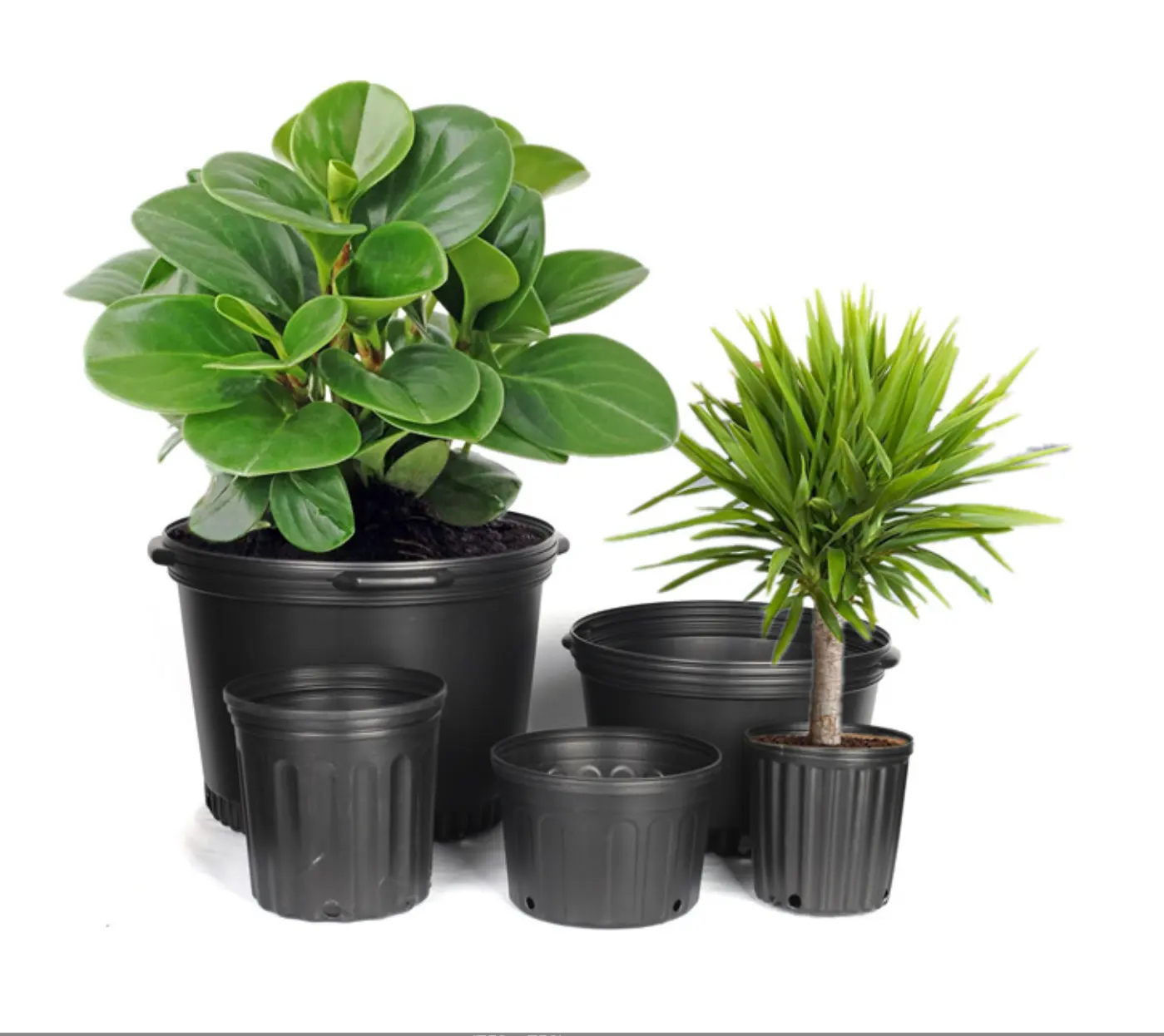 وعاء بلاستيكي أسود سعة 1 و2 و3 و5 و7 و10 و15 و20 جالون للبيع بالجملة بسعر رخيص وعاء بلاستيكي لنباتات النضارة في الهواء الطلق