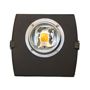 Cường độ cao 50/100W COB dẫn phát triển ánh sáng với phổ ánh sáng tối ưu cho tất cả các giai đoạn tăng trưởng - Product Image 1