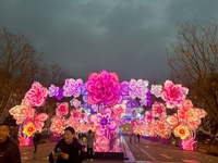 Außen Led chinesische Blumenlaterne für Festivaldekoration Seiden chinesische Laternen