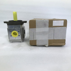 Hydraulic Gear Pump EIPC6-220LB23-11 EIPC6-220RB23-06 EIPC6 EIPC4 Small Injection Molding Machine Hydraulic Supply Parts - Product Image 4
