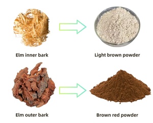 Bubuk Kulit Elm Organik Berkualitas Terbaik untuk Makanan - Product Image 3