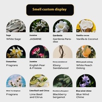 OEM Maßgefertigte Aromatherapie-Sojawachskerze Modernes Wohnzimmer-Duftornament Niedrige Temperatur 30-60 Stunden Hochwertige Geburtstagskerze