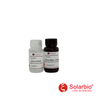 Kit de Tinción de Nódulos Mineralizados Osteoblasticos de Alta Calidad Solarbio (Método Alizarin Red S) para Investigación Científica