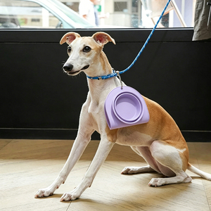 Pet Double Silicone Bowl Travel Waterproof Duo Portable Foldable Non Slip Dog <b>Cat</b> Pet Food Water Bowl <b>Feeder</b> Set - Product Image 4