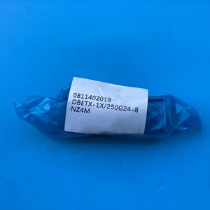 Vanne de décharge proportionnelle haute performance DBETX-1X/250G24-8NZ4M 0811402019 – Expédition rapide - Product Image 3