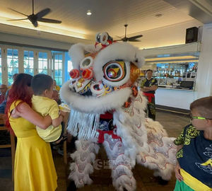 वयस्कों के लिए मंच प्रदर्शन वेशभूषा शेर नृत्य पोशाक - Product Image 3