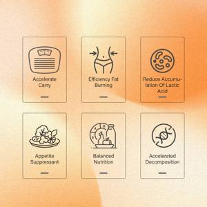 Kilo kaybı metabolizması artışı ve termojenik destek için % YEŞİL ÇAY ekstrakt l-karnitin probiyotikler ile yağ yakıcı takviyeleri - Product Image 3