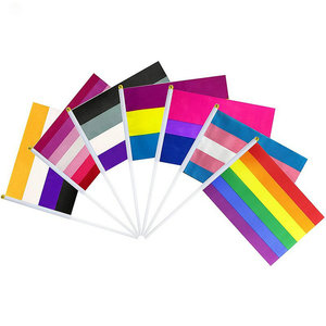 Bandera de mano LGBT personalizada, 100 unidades, 14*21 cm, con varilla de plástico, bandera de mano arcoíris, bandera de mano del Orgullo Gay, Lésbico, Homosexual, Bisexual. - Product Image 2