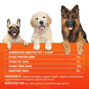 OEM/ODM Verdauungsunterstützung Kürbispulver Pflanzenextrakt 5 Superfoods <span class=keywords><strong>Verstopfung</strong></span> <span class=keywords><strong>Durchfall</strong></span> Empfindlicher Magen - Product Image 4