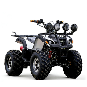 Quad Little Bull à quatre roues, transmission à différentiel à essence, tout-terrain - Product Image 1