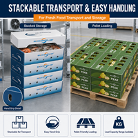 PP Gegolfde Kunststof Fruit- en Groentekisten op Maat en met Bedrukking voor Koudeketen Logistiek en Supermarkt Presentatie