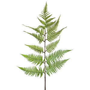 Plantas Artificiales de Helecho Yihua Floral Art, Flores de Seda con Hojas Grandes y Pequeñas, Decoración Verde para Interiores - Product Image 5