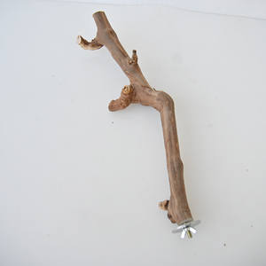 Modern stil toptan ahşap kuş kafesi aksesuarları papağan <span class=keywords><strong>stand</strong></span>ı sopa üzüm topu Perching sınır ötesi ev hayvanı ürünü oyuncak malzemeleri - Product Image 3