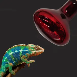 Guanyifarm Pet Crawling Pet Heat Lamp Infrared Reptile Light Healthcare Lighting For Warming Parrot