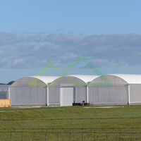 Complete turnkey oplossing voor grote schaal groenten- en sierplantenteelt in multi-span commerciële kassen met PE-folie afdekking