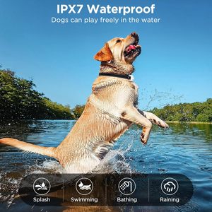 Rechargeable <strong>Dog</strong> <strong>Training</strong> <strong>Collar</strong> IP67 Waterproof 800m Range Remote <strong>Dog</strong> Shock <strong>Collar</strong> with Beep,Vibration,Shock,LED Light 4 Modes - Product Image 6