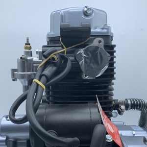 Moteur de tricycle <span class=keywords><strong>Zongshen</strong></span> 250cc 4 temps refroidi par eau de haute qualité d'origine, assemblage de moteur 250cc - Product Image 6