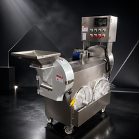 Multifunctionele fruit- en groentesnijmachine, commercieel, dubbele messen, milieuvriendelijk, snijden, diceren, raspen, schaven