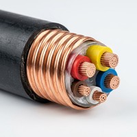 Kabel Listrik Lantian RTTVZ 3+2 Inti Tembaga Berisolasi Mineral dengan Selubung Luar PVC 0.6/1kV untuk Keamanan Kebakaran Industri