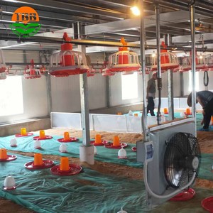 Equipo Moderno de Avicultura Totalmente Automático para la Cría de Pollos de Engorde, Gallinero/Casa de Pollos, Comederos Eficientes para Aves de Corral - Product Image 2