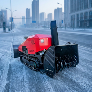 Envío Gratis HD200F Soplador de Nieve con Control Remoto, Mini Soplador de Nieve con Tracción por Correa, Motor de 15hp, Batería de 48V, Ancho de Limpieza de 1200mm - Product Image 1