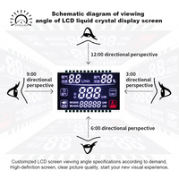 Module d'affichage LCD STN à grand angle de vue, écran à cristaux liquides à segments positifs/négatifs à 90 degrés, connexion personnalisée