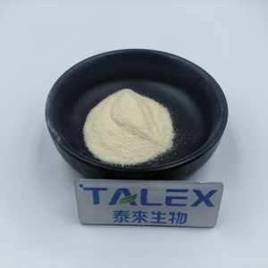 Food Grade Pineapple Extract 100000u/g Bromelain Enzyme Bromelain Powder - Product Image 1