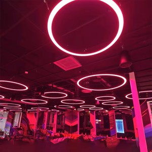 1.5m Diameter Ring RGB Ceiling Light Suspended Gym Fitness Room Light with <strong>Multi</strong> <strong>Color</strong> <strong>Changing</strong> - Product Image 1