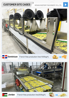 Industriële volautomatische productielijn voor diepvriesfrieten, machine voor de verwerking van aardappelvingers